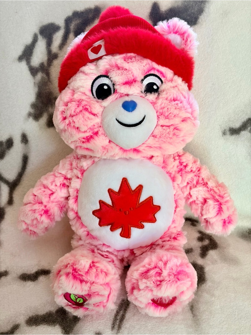 2025 (Eco/3.0) Care Bear True North Bear 14” Plush Toy/EUC